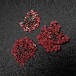 1680 Сухоцветы "Любимые цветочки"  