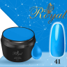 Гель-краска Royal Classic Line 5 ml №41