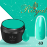 Гель-краска Royal Classic Line 5 ml №40