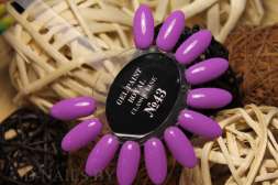 Гель-краска Royal Classic Line 5 ml №43