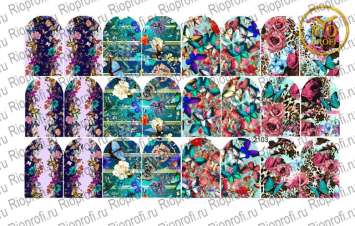 Rio Profi Слайдер дизайн на прозрачной подложке № 2103