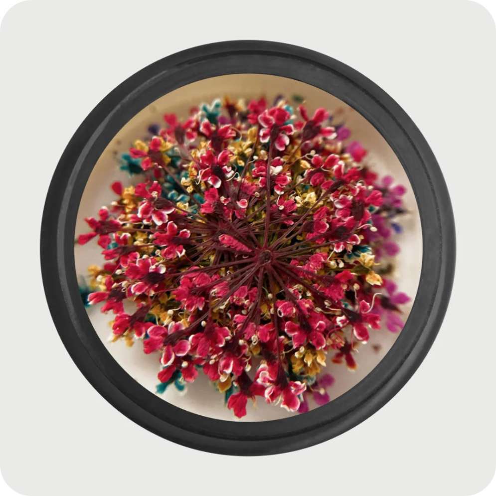 Сухоцветы микс 5455 (фиолетовый, голубой, желтый, оранжевый, красный)