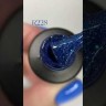R229 Гель-лак ROYAL 5 ml                    