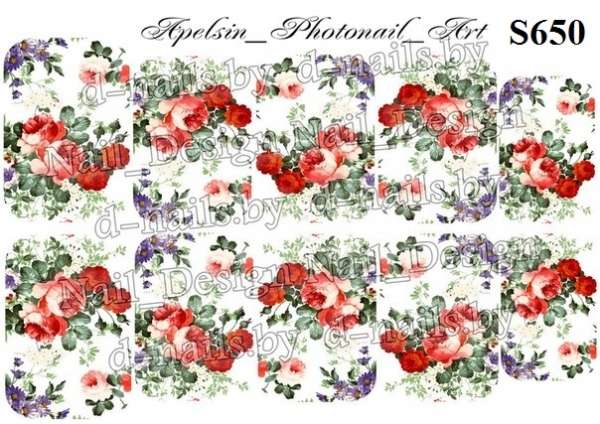 Слайдер-дизайн S650