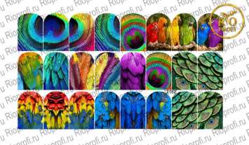 Rio Profi Слайдер дизайн на прозрачной подложке № 2152