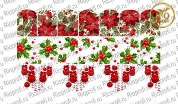 Rio Profi Слайдер дизайн на прозрачной подложке № 2162