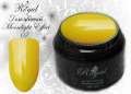 Цветной гель Royal Moonlight Effect 5 ml №07