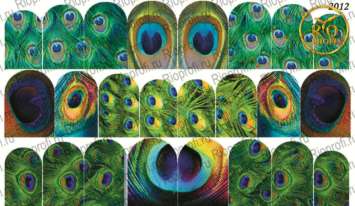 Rio Profi Слайдер дизайн на прозрачной подложке № 2012