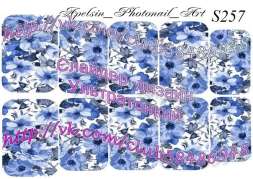 Слайдер-дизайн S257