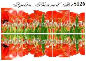 Слайдер-дизайн S126