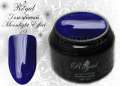 Цветной гель Royal Moonlight Effect 5 ml №19