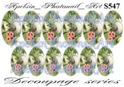 Слайдер-дизайн S547