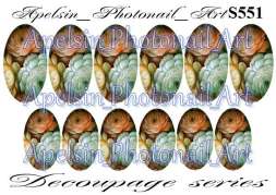 Слайдер-дизайн S551