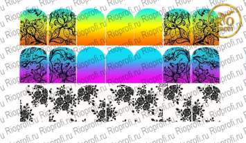 Rio Profi Слайдер дизайн на прозрачной подложке № 2204