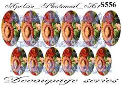 Слайдер-дизайн S556