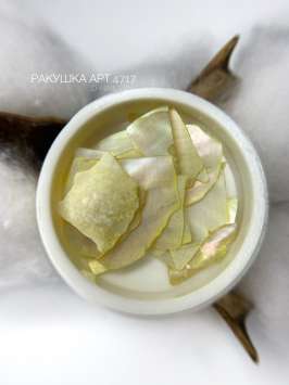 Ракушечник ваниль Арт.4717