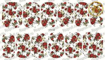 Rio Profi Слайдер дизайн на прозрачной подложке № F 110