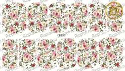 Rio Profi Слайдер дизайн на прозрачной подложке № F 130