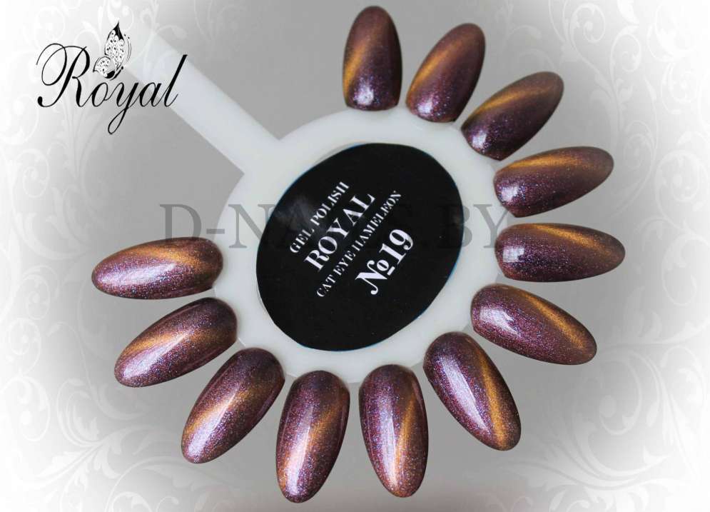 Гель лак ROYAL CAT EYE HAMELEON 10 ml №19
