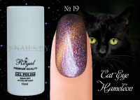 Гель лак ROYAL CAT EYE HAMELEON 10 ml №19