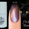 Гель лак ROYAL CAT EYE HAMELEON 10 ml №19