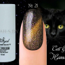 Гель лак ROYAL CAT EYE HAMELEON 10 ml №21