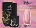 RG01 Гель-лак ROYAL "Голография" 10 ml     