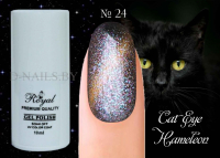 Гель лак ROYAL CAT EYE HAMELEON 10 ml №24