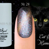 Гель лак ROYAL CAT EYE HAMELEON 10 ml №24