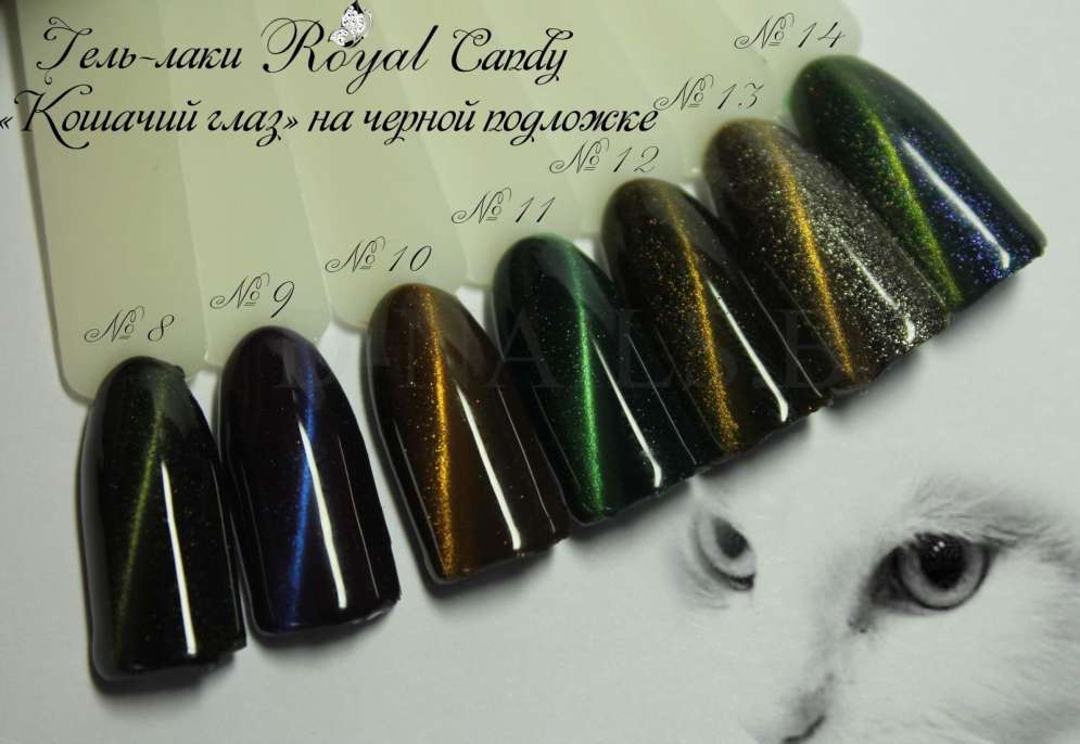 Гель-лак ROYAL MAGNIT 10 ml №09