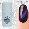 Гель-лак ROYAL MAGNIT 10 ml №01
