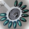 Гель-лак ROYAL MAGNIT 10 ml №06