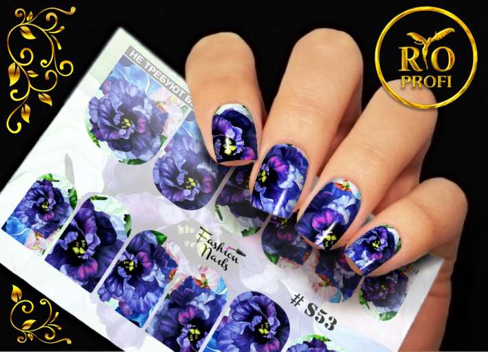 Rio Profi Слайдер дизайн S 53