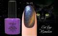 Гель лак ROYAL CAT EYE HAMELEON 9ml №03
