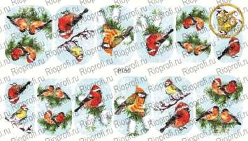 Rio Profi Слайдер дизайн на прозрачной подложке № P 150