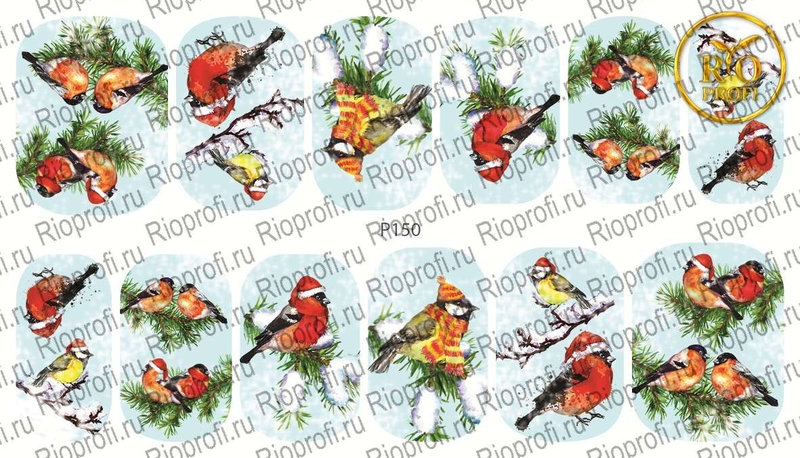 Rio Profi Слайдер дизайн на прозрачной подложке № P 150