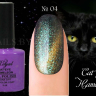 Гель лак ROYAL CAT EYE HAMELEON 9ml №04