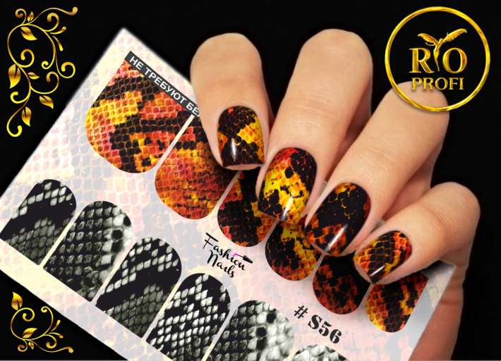 Rio Profi Слайдер дизайн S 56