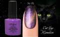 Гель лак ROYAL CAT EYE HAMELEON 9ml №05