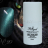 Гель лак ROYAL CAT EYE 10ml №29