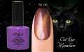 Гель лак ROYAL CAT EYE HAMELEON 9ml №06