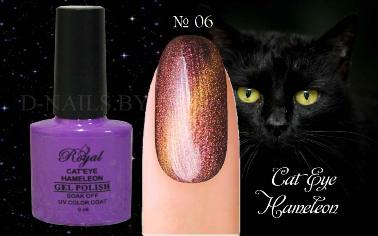Гель лак ROYAL CAT EYE HAMELEON 9ml №06