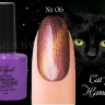 Гель лак ROYAL CAT EYE HAMELEON 9ml №06