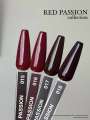 018 LOVE NAIL ГЕЛЬ ЛАК класса Premium