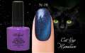 Гель лак ROYAL CAT EYE HAMELEON 9ml №08