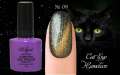 Гель лак ROYAL CAT EYE HAMELEON 9ml №09