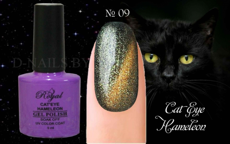 Гель лак ROYAL CAT EYE HAMELEON 9ml №09