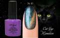 Гель лак ROYAL CAT EYE HAMELEON 9ml №10