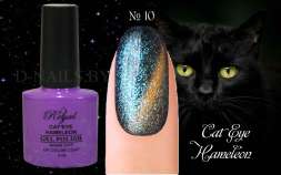 Гель лак ROYAL CAT EYE HAMELEON 9ml №10