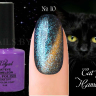 Гель лак ROYAL CAT EYE HAMELEON 9ml №10